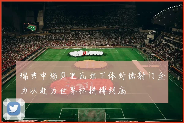 瑞典中场贝里瓦尔下体封堵射门全力以赴为世界杯拼搏到底